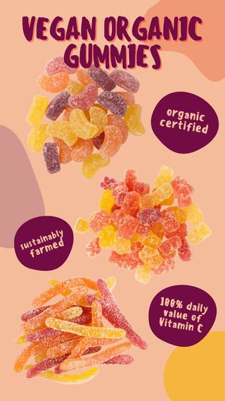 Vegan Organic Fruit Slices (10 lbs)